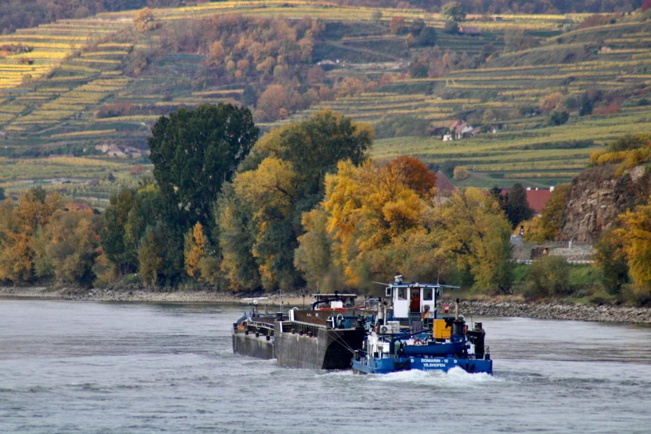 דירות Aggsbach Haus-Donau In Der Wachau מראה חיצוני תמונה