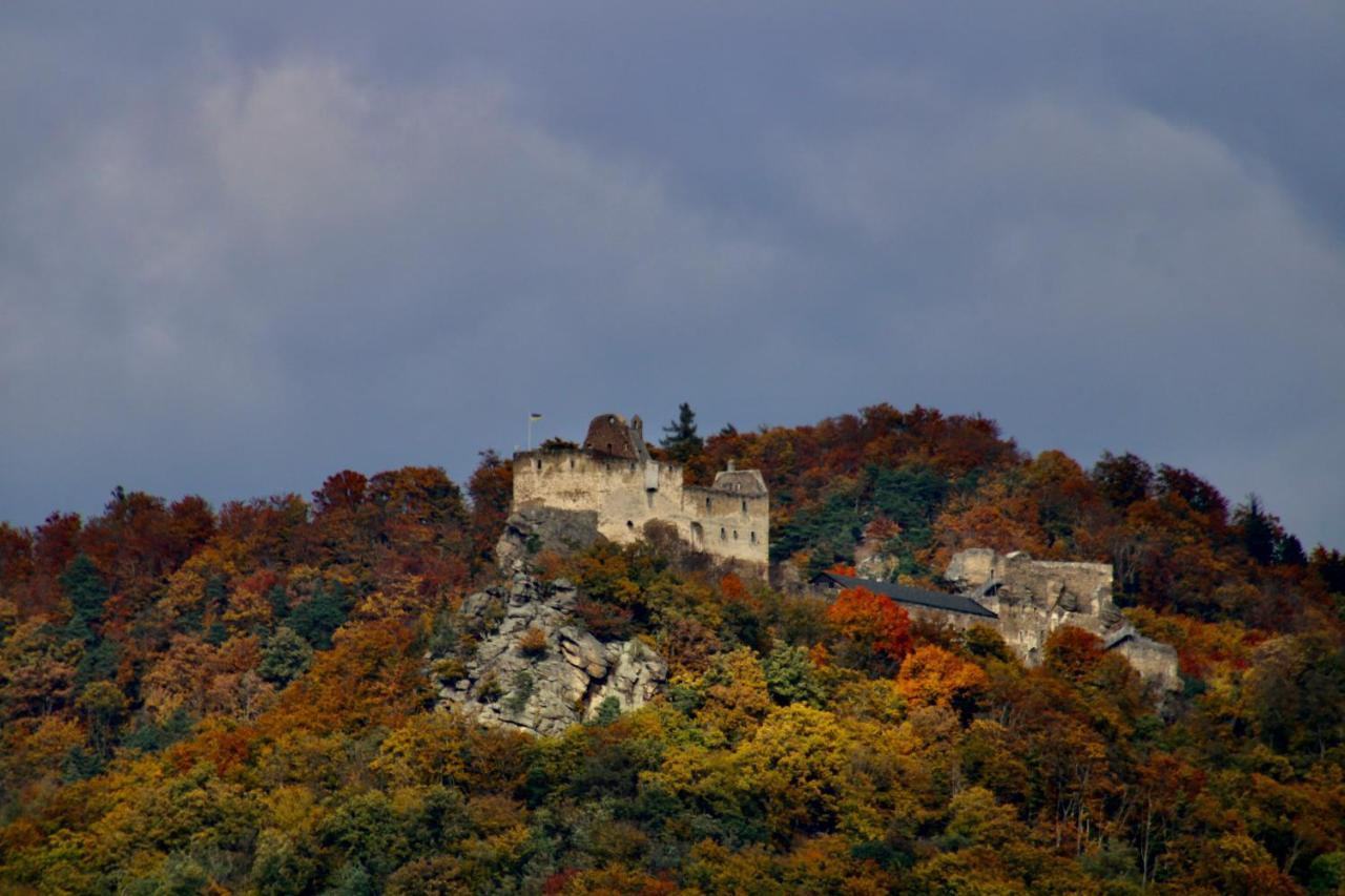 דירות Aggsbach Haus-Donau In Der Wachau מראה חיצוני תמונה